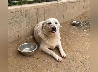 BELLA - wenn der Name Programm ist