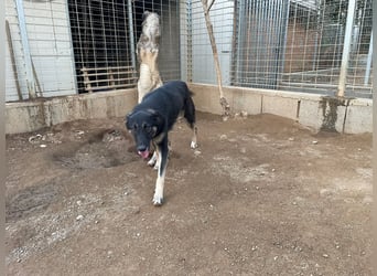 ATMA - Emotionen in schön