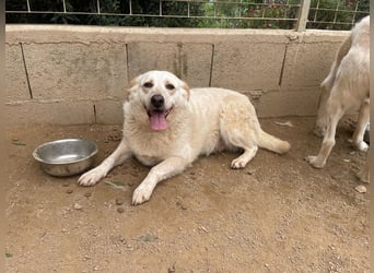 BELLA - wenn der Name Programm ist