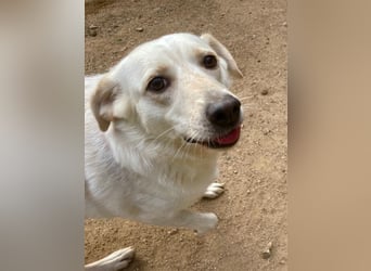 BELLA - wenn der Name Programm ist