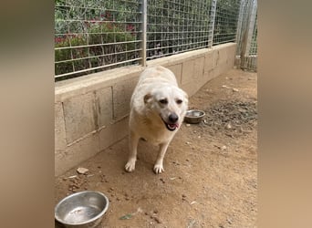 BELLA - wenn der Name Programm ist