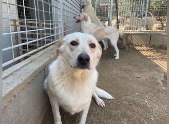 BELLA - wenn der Name Programm ist