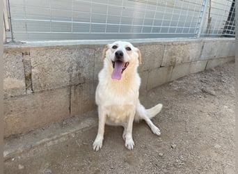 BELLA - wenn der Name Programm ist