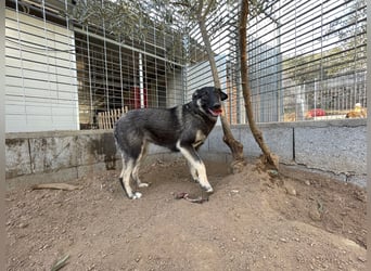 ATMA - Emotionen in schön