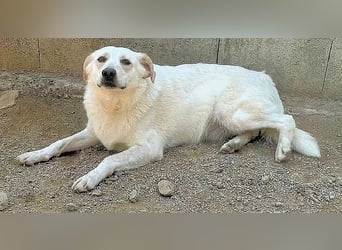 BELLA - wenn der Name Programm ist