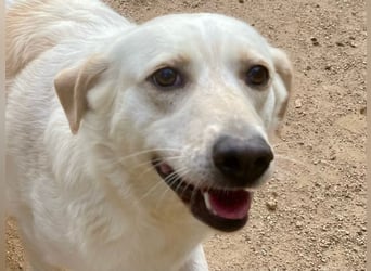 BELLA - wenn der Name Programm ist