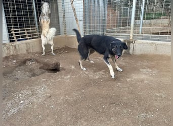 ATMA - Emotionen in schön