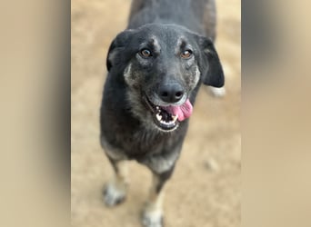 ATMA - Emotionen in schön