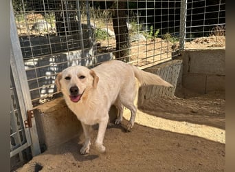 BELLA - wenn der Name Programm ist