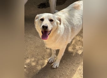 BELLA - wenn der Name Programm ist