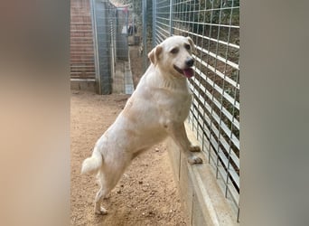 BELLA - wenn der Name Programm ist