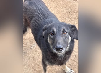 ATMA - Emotionen in schön