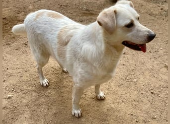 BELLA - wenn der Name Programm ist