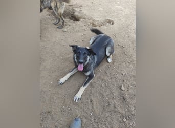 ATMA - Emotionen in schön