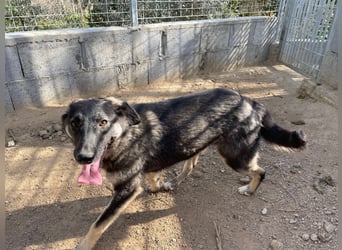 ATMA - Emotionen in schön