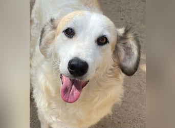 BRUNELLA - lieber Rohdiamant