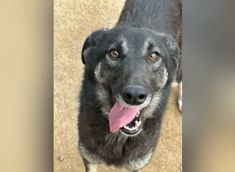 ATMA - Emotionen in schön