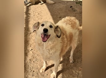 BRUNELLA - lieber Rohdiamant