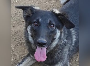 ATMA - Emotionen in schön