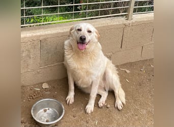 BELLA - wenn der Name Programm ist