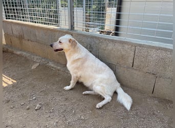 BELLA - wenn der Name Programm ist