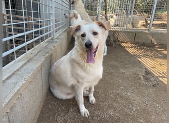 BELLA - wenn der Name Programm ist