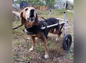 *Handicap* Anna - Schmusebacke mit Lebenswillen und Lebensfreude