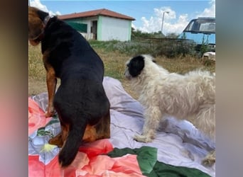 *Handicap* Anna - Schmusebacke mit Lebenswillen und Lebensfreude