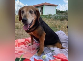 *Handicap* Anna - Schmusebacke mit Lebenswillen und Lebensfreude