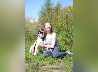 Aufgeschlossener VALIK sucht ein Zuhause