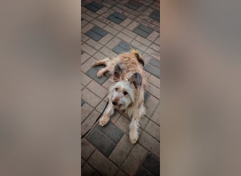 Eshka wartet auf Sie!