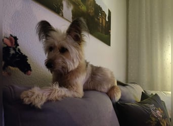 Eshka wartet auf Sie!