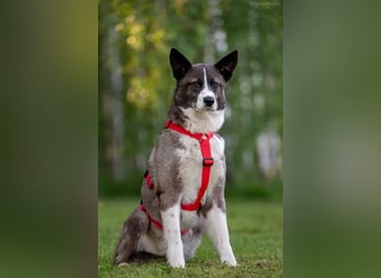 Aufmerksame MAYA sucht treue Menschen