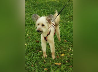 Eshka wartet auf Sie!