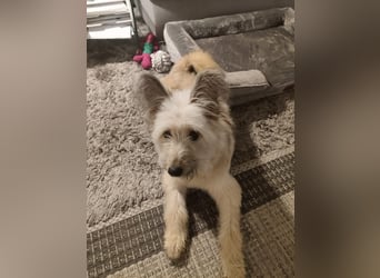 Eshka wartet auf Sie!