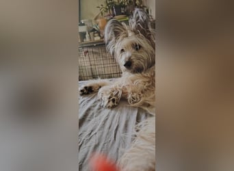 Eshka wartet auf Sie!