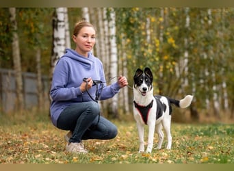 Hübsche KATIE sucht eine aktive Familie