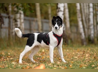 Hübsche KATIE sucht eine aktive Familie