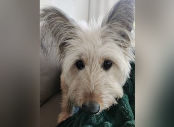 Eshka wartet auf Sie!