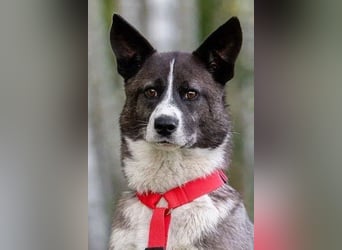 Aufmerksame MAYA sucht treue Menschen