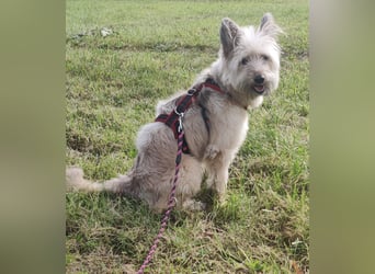 Eshka wartet auf Sie!