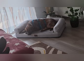 Rita wartet sehnsüchtig auf ihr Happy-Home