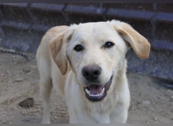 Olina, schüchterne Schönheit wartet auf ihre Herzensmenschen