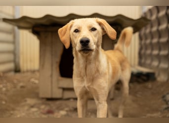 Olina, schüchterne Schönheit wartet auf ihre Herzensmenschen