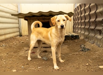 Olina, schüchterne Schönheit wartet auf ihre Herzensmenschen
