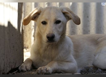 Olina, schüchterne Schönheit wartet auf ihre Herzensmenschen