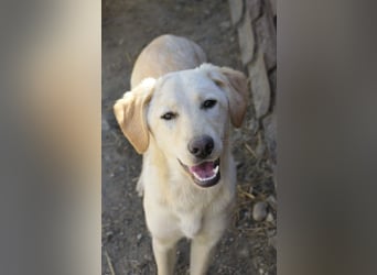 Olina, schüchterne Schönheit wartet auf ihre Herzensmenschen