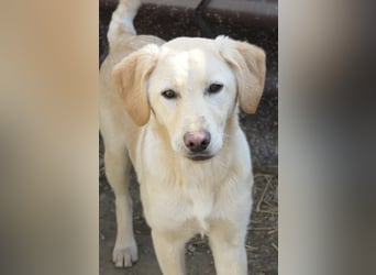 Olina, schüchterne Schönheit wartet auf ihre Herzensmenschen