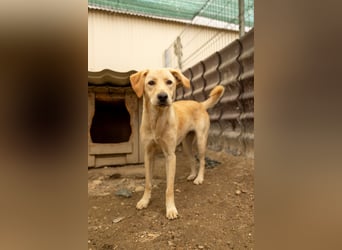 Olina, schüchterne Schönheit wartet auf ihre Herzensmenschen