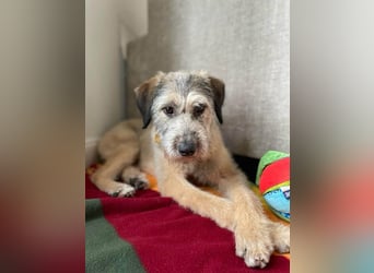 Süße Titza sucht ihr eigenes Körbchen